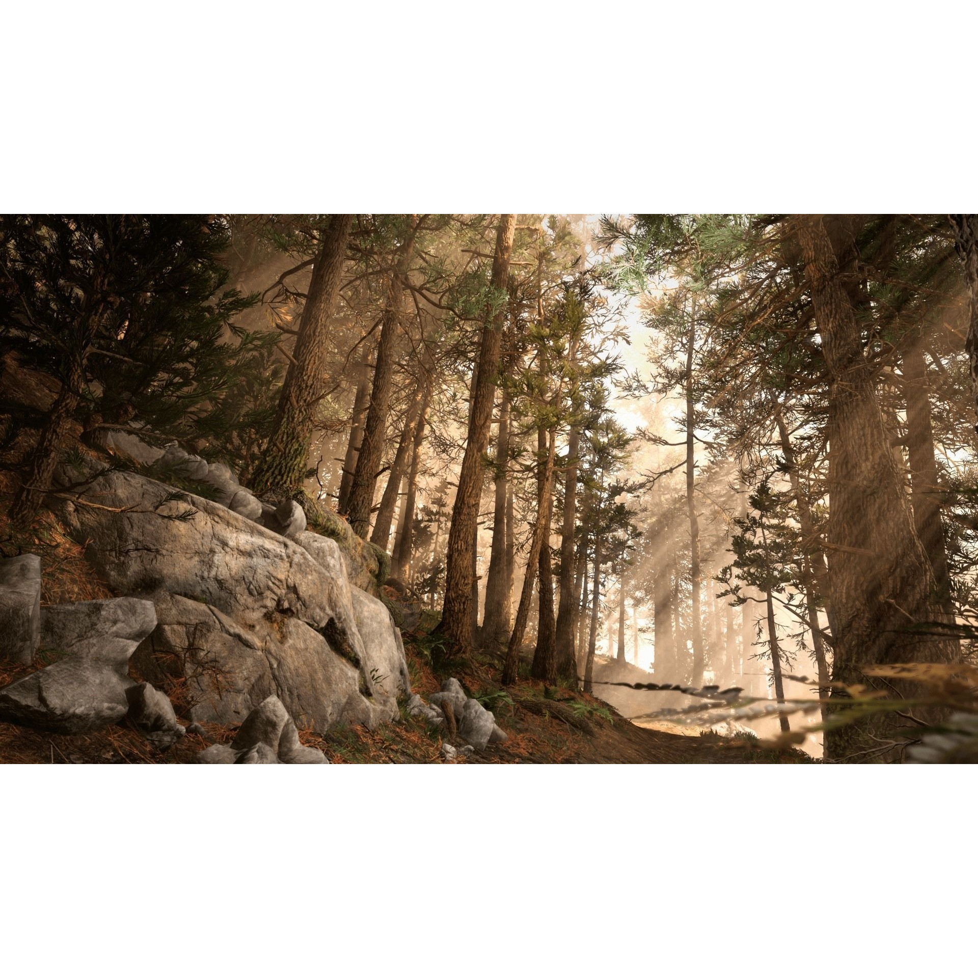 Rocky Pine Trees Forest Biome - Low-Poly Game-Ready 3D Model - View 7