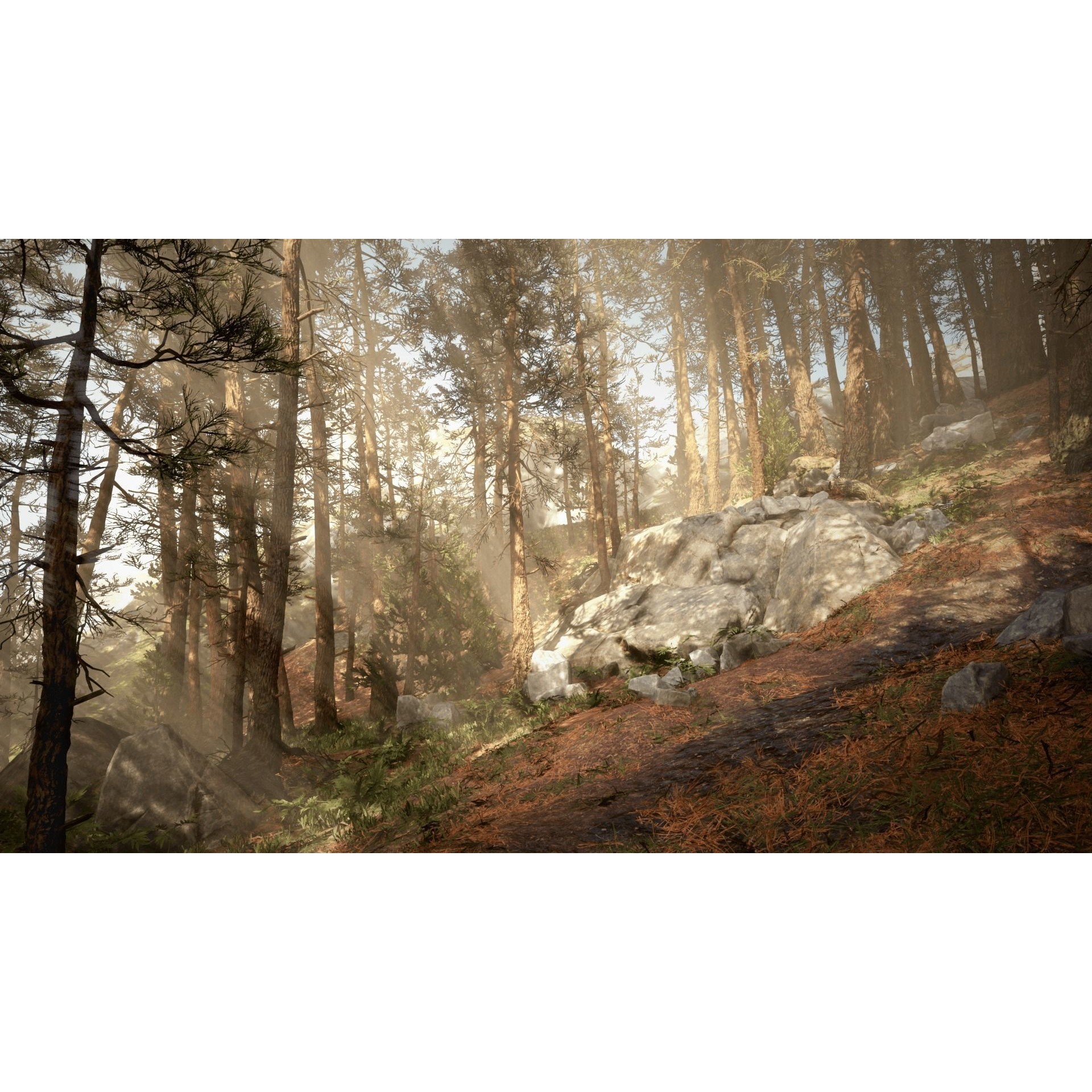 Rocky Pine Trees Forest Biome - Low-Poly Game-Ready 3D Model - View 8