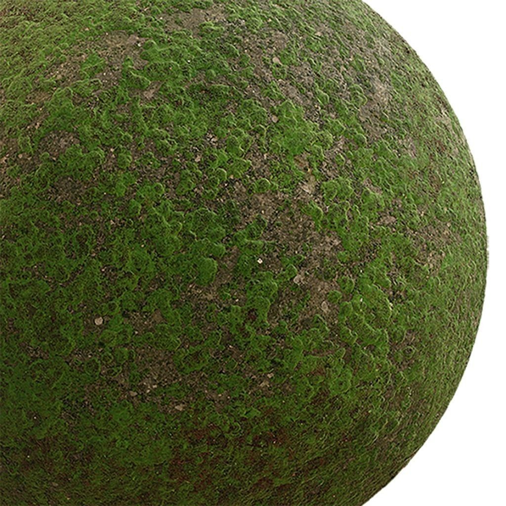 Moss Seamless Texture 3D Model – PBR Tileable Textures, EXR & JPG