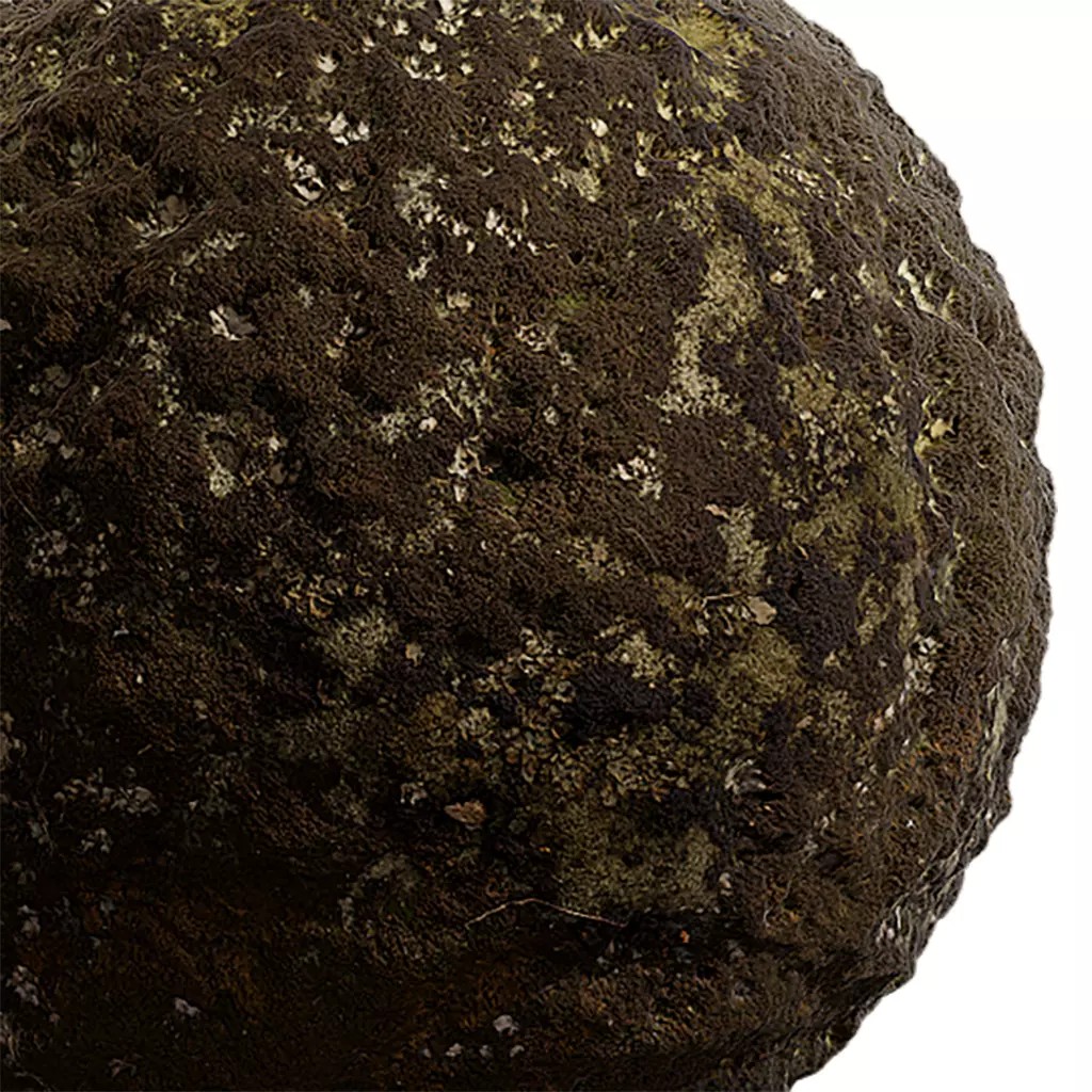 Moss Seamless Texture 3D Model – PBR Tileable Textures, EXR & JPG - View 2
