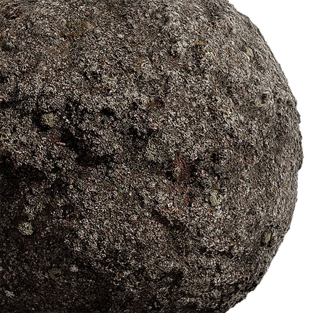 Moss Seamless Texture 3D Model – PBR Tileable Textures, EXR & JPG - View 3