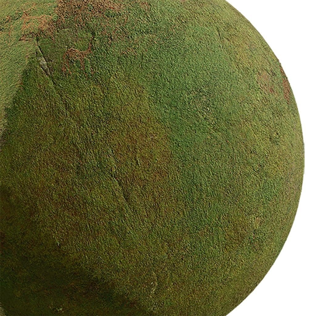 Moss Seamless Texture 3D Model – PBR Tileable Textures, EXR & JPG - View 4