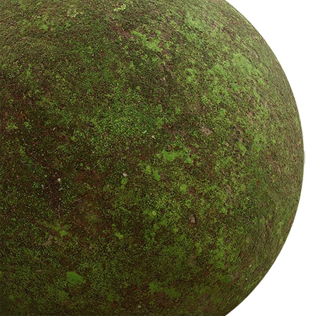 Moss Seamless Texture 3D Model – PBR Tileable Textures, EXR & JPG - View 5