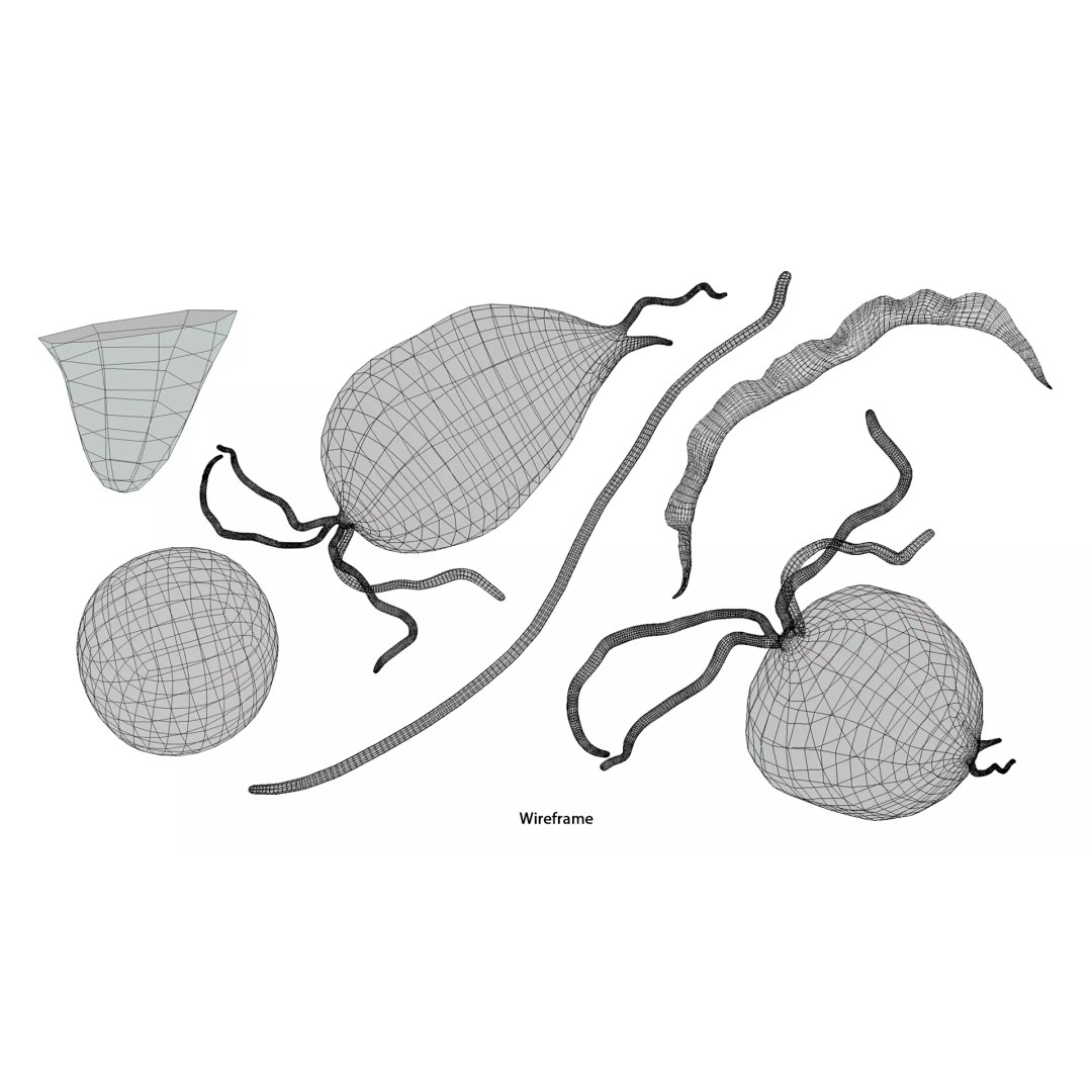 Trichomoniasis Disease 3D Model – PBR Optimized, FBX, OBJ, Blender - View 10