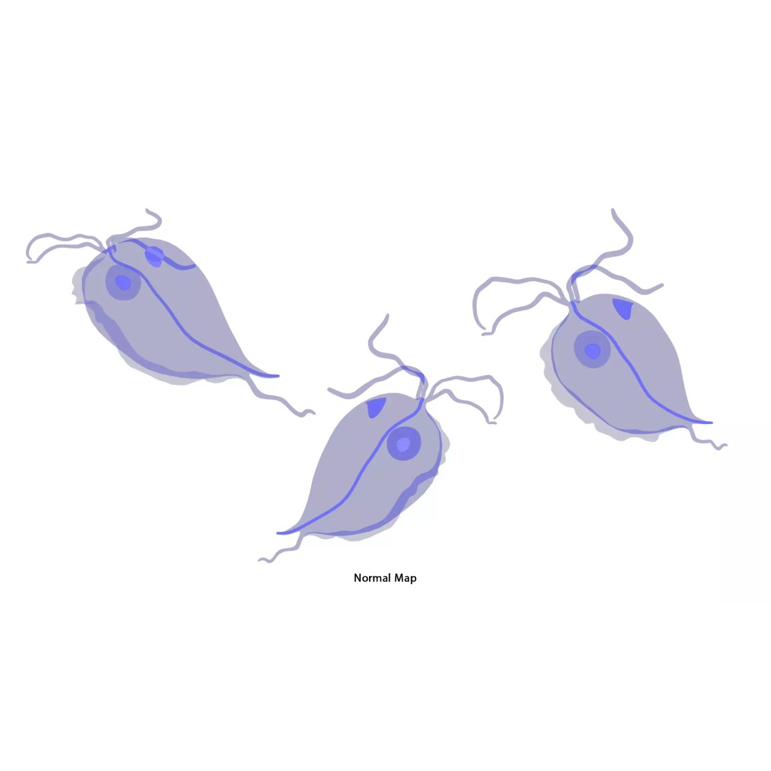 Trichomoniasis Disease 3D Model – PBR Optimized, FBX, OBJ, Blender - View 9