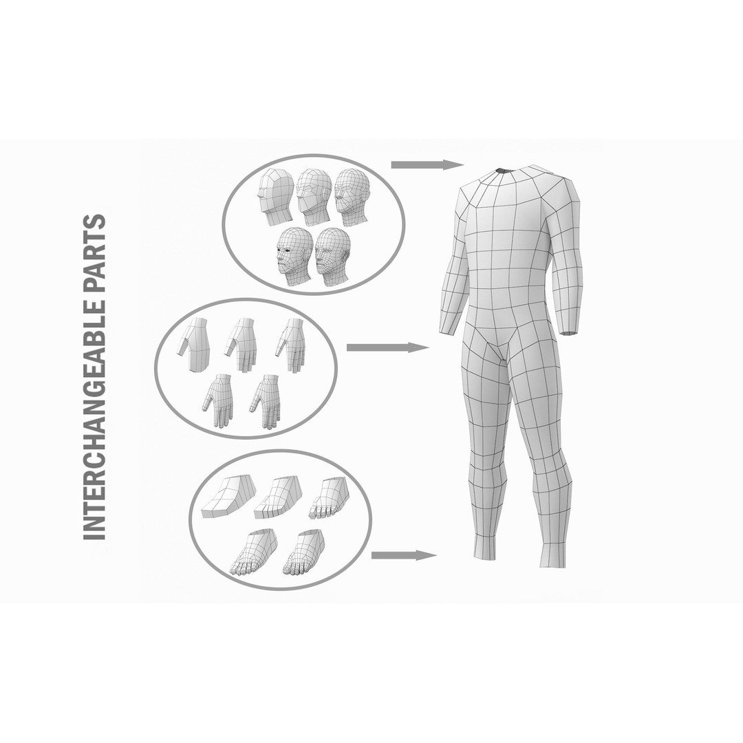 Natural Male 3D Model – Low Poly Base Mesh in 5 Topologies, FBX