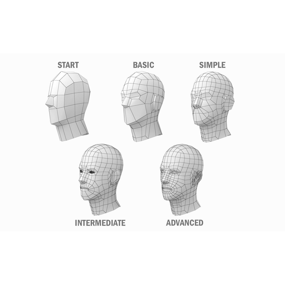 Natural Male 3D Model – Low Poly Base Mesh in 5 Topologies, FBX - View 14