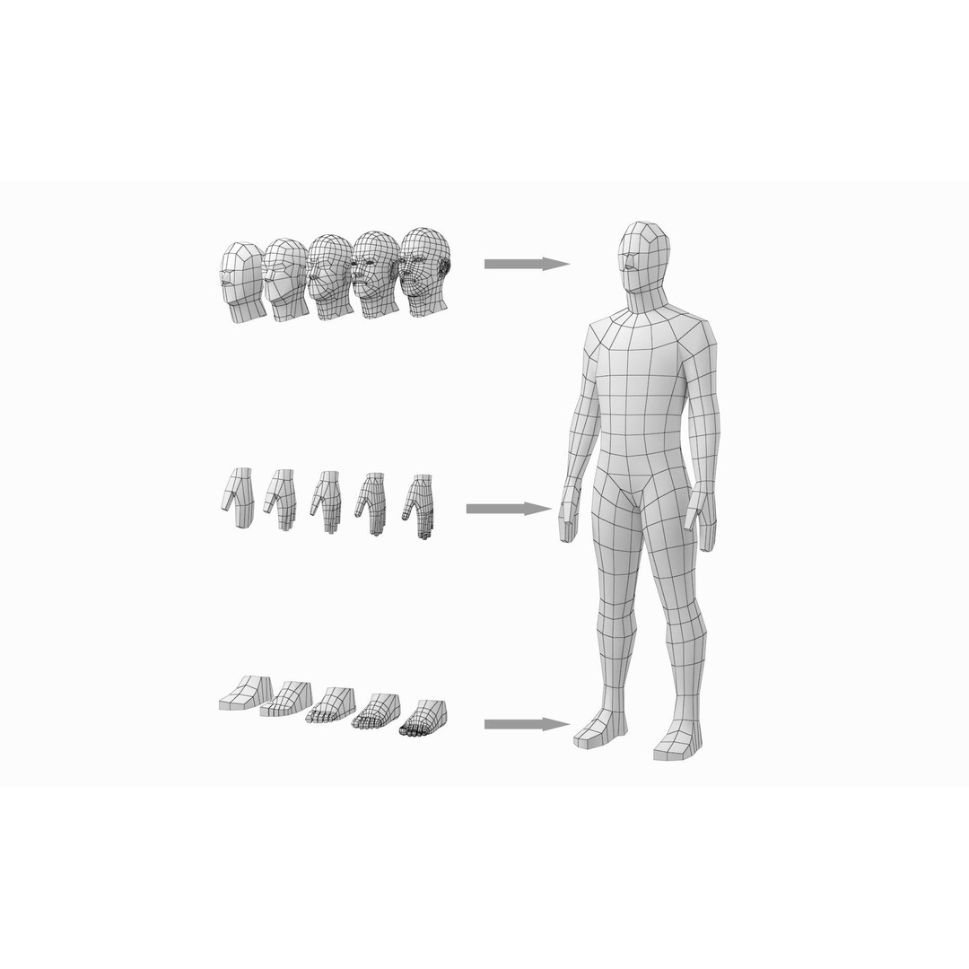 Natural Male 3D Model – Low Poly Base Mesh in 5 Topologies, FBX - View 17