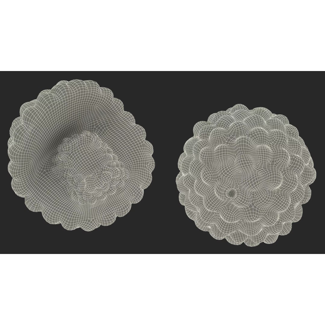 HIV Cutaway Virus 3D Model – Detailed Educational Representation, FBX - View 15