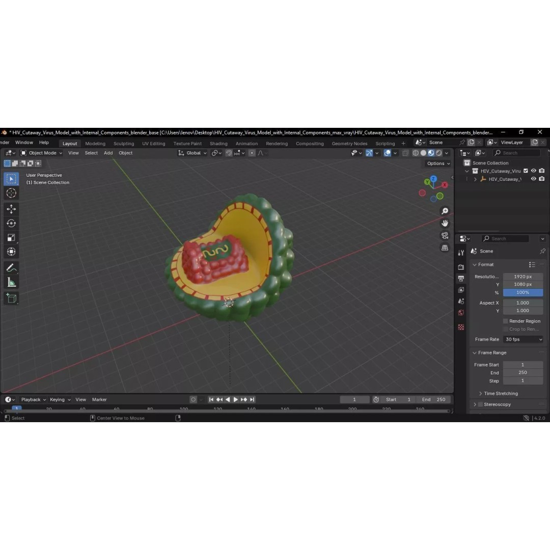 HIV Cutaway Virus 3D Model – Detailed Educational Representation, FBX - View 16