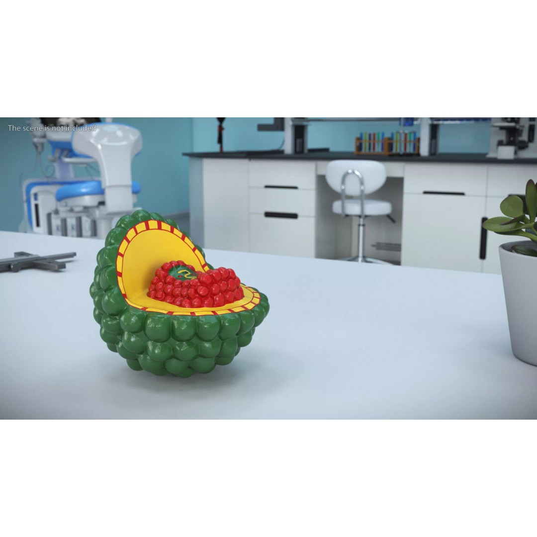HIV Cutaway Virus 3D Model – Detailed Educational Representation, FBX - View 2