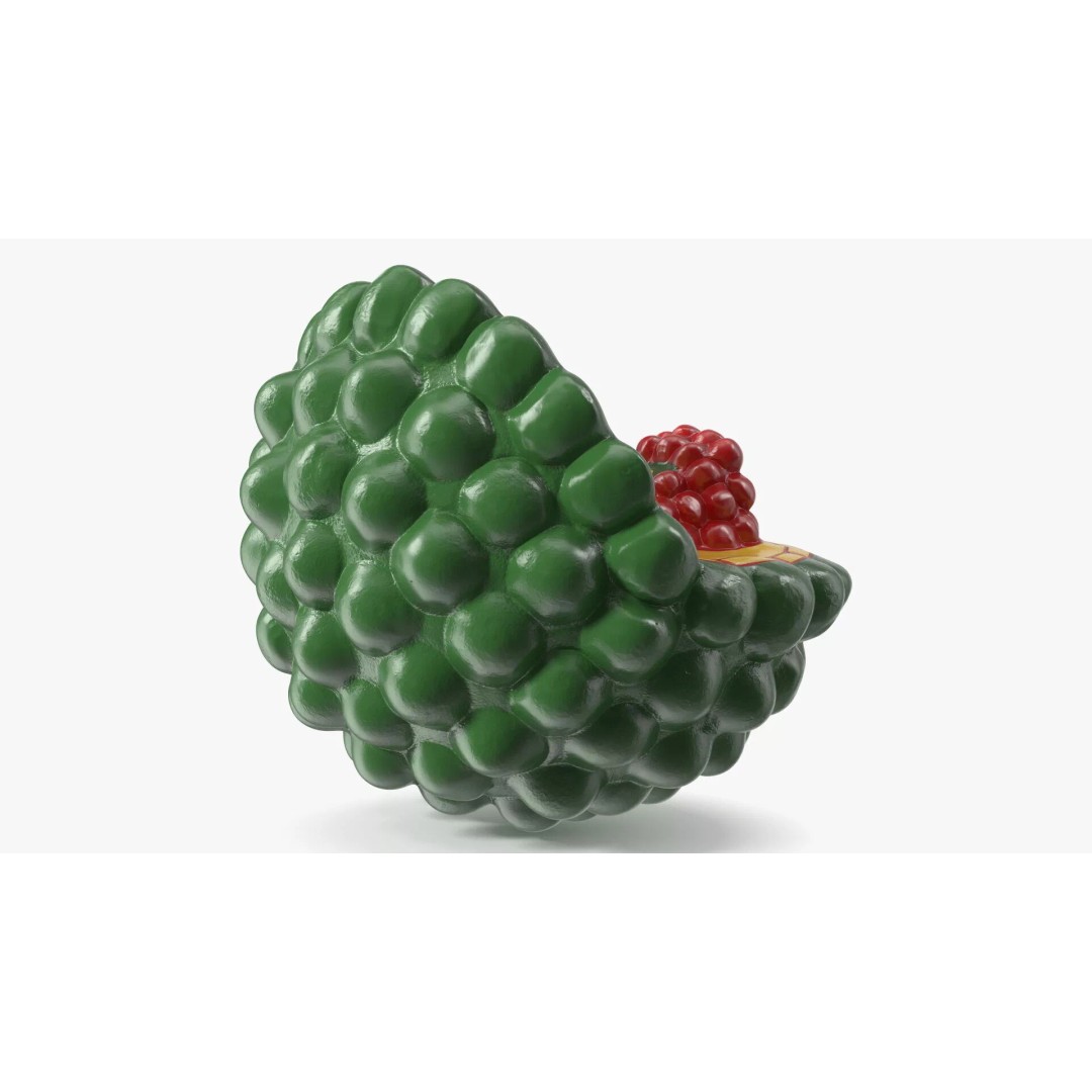 HIV Cutaway Virus 3D Model – Detailed Educational Representation, FBX - View 8