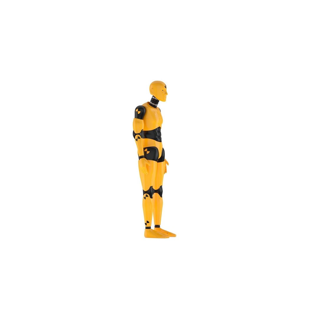 Crash Test Dummy 3D Model – High Quality Rigged Character for Animation - View 3