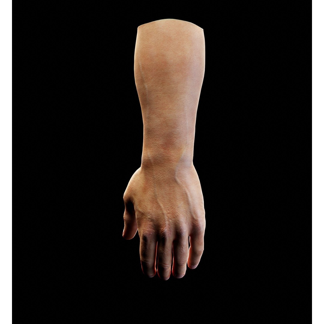 Human Hand 3D Model – Low Poly Character Asset, PBR Textures, FBX, OBJ - View 3