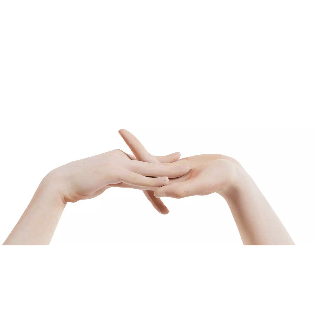 Male Duo Hands 3D Model – Low Poly Photogrammetry Asset, FBX - View 2