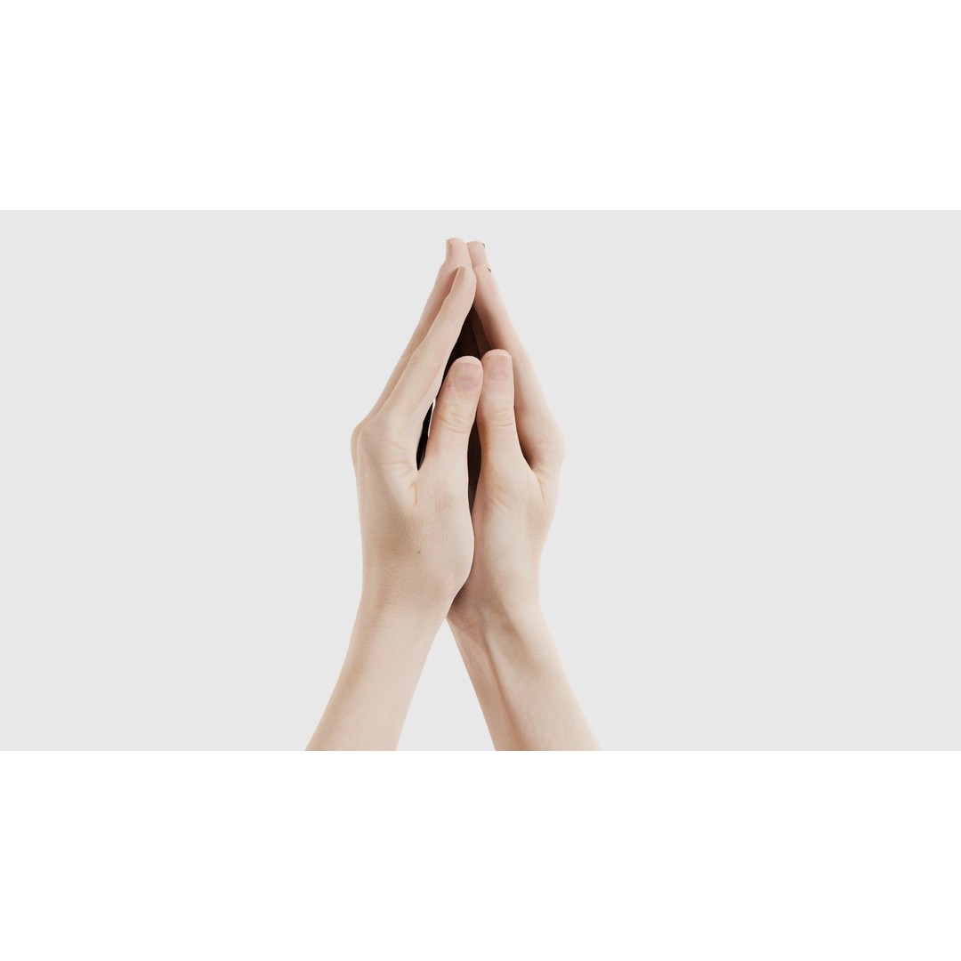 Duo Hands 005 3D Model – Low Poly Character with PBR Textures, FBX