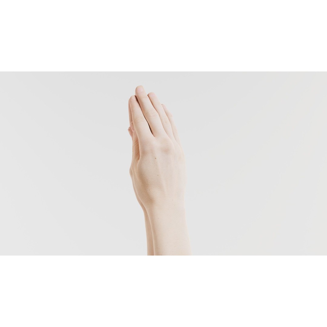 Duo Hands 005 3D Model – Low Poly Character with PBR Textures, FBX - View 10