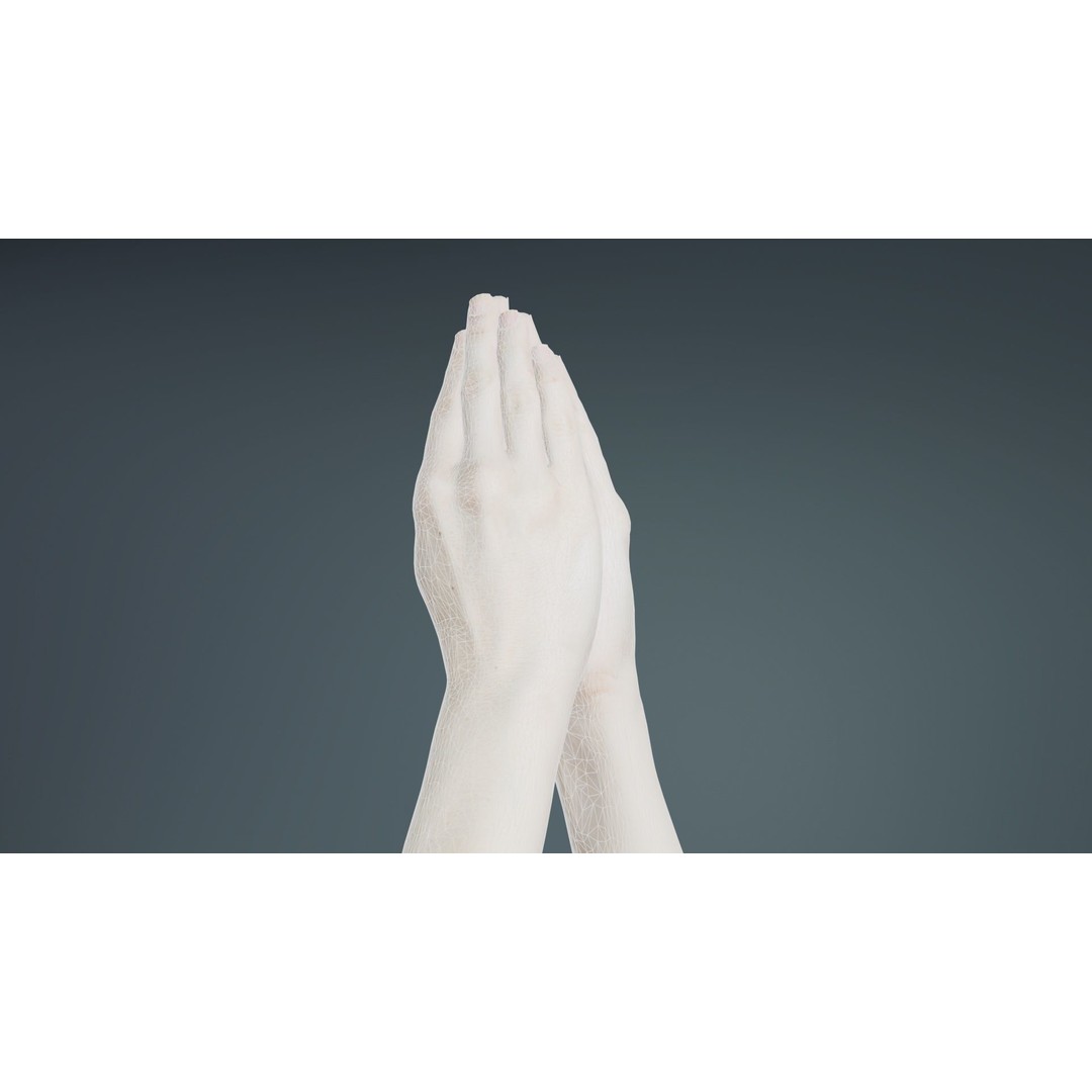 Duo Hands 005 3D Model – Low Poly Character with PBR Textures, FBX - View 12
