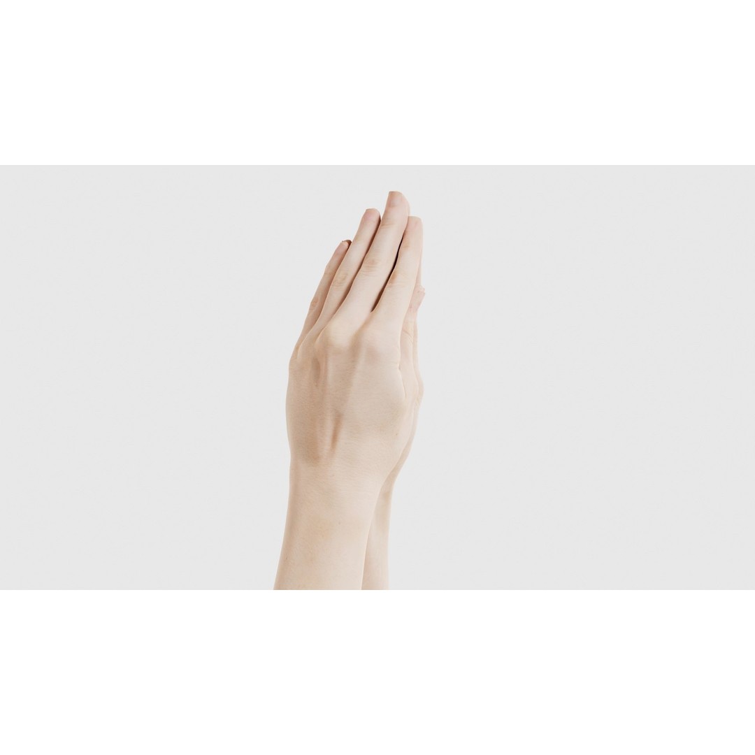 Duo Hands 005 3D Model – Low Poly Character with PBR Textures, FBX - View 18