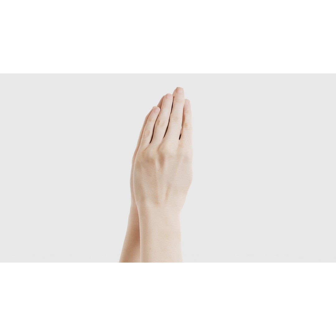 Duo Hands 005 3D Model – Low Poly Character with PBR Textures, FBX - View 19