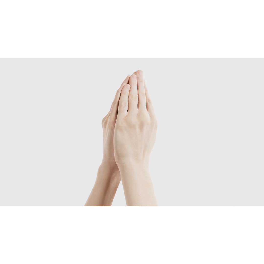 Duo Hands 005 3D Model – Low Poly Character with PBR Textures, FBX - View 20