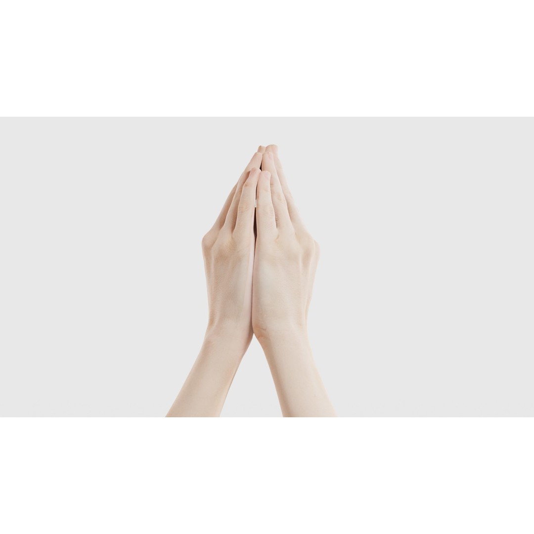 Duo Hands 005 3D Model – Low Poly Character with PBR Textures, FBX - View 21
