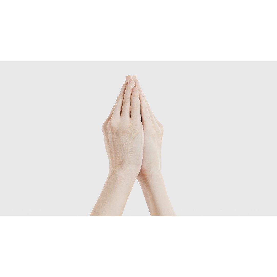 Duo Hands 005 3D Model – Low Poly Character with PBR Textures, FBX - View 22