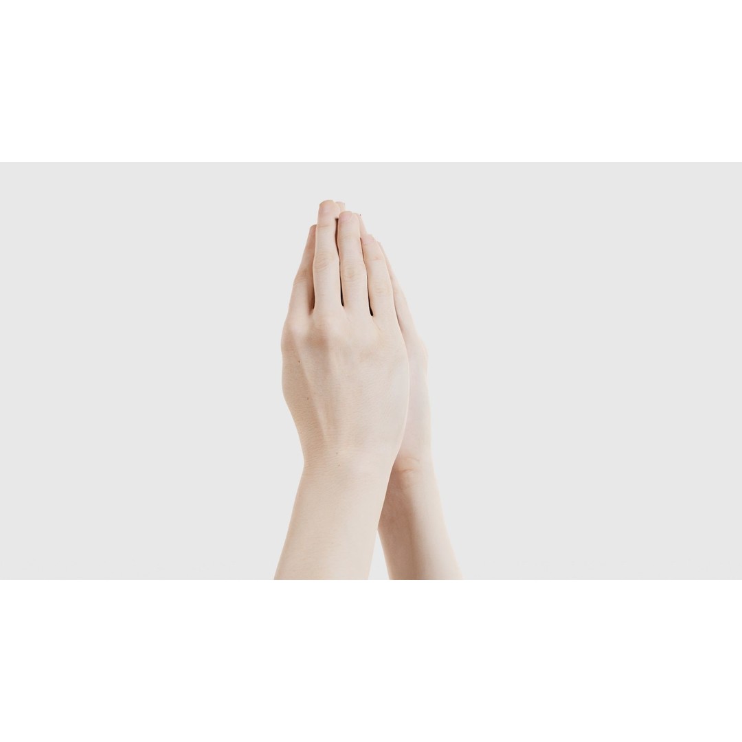 Duo Hands 005 3D Model – Low Poly Character with PBR Textures, FBX - View 23
