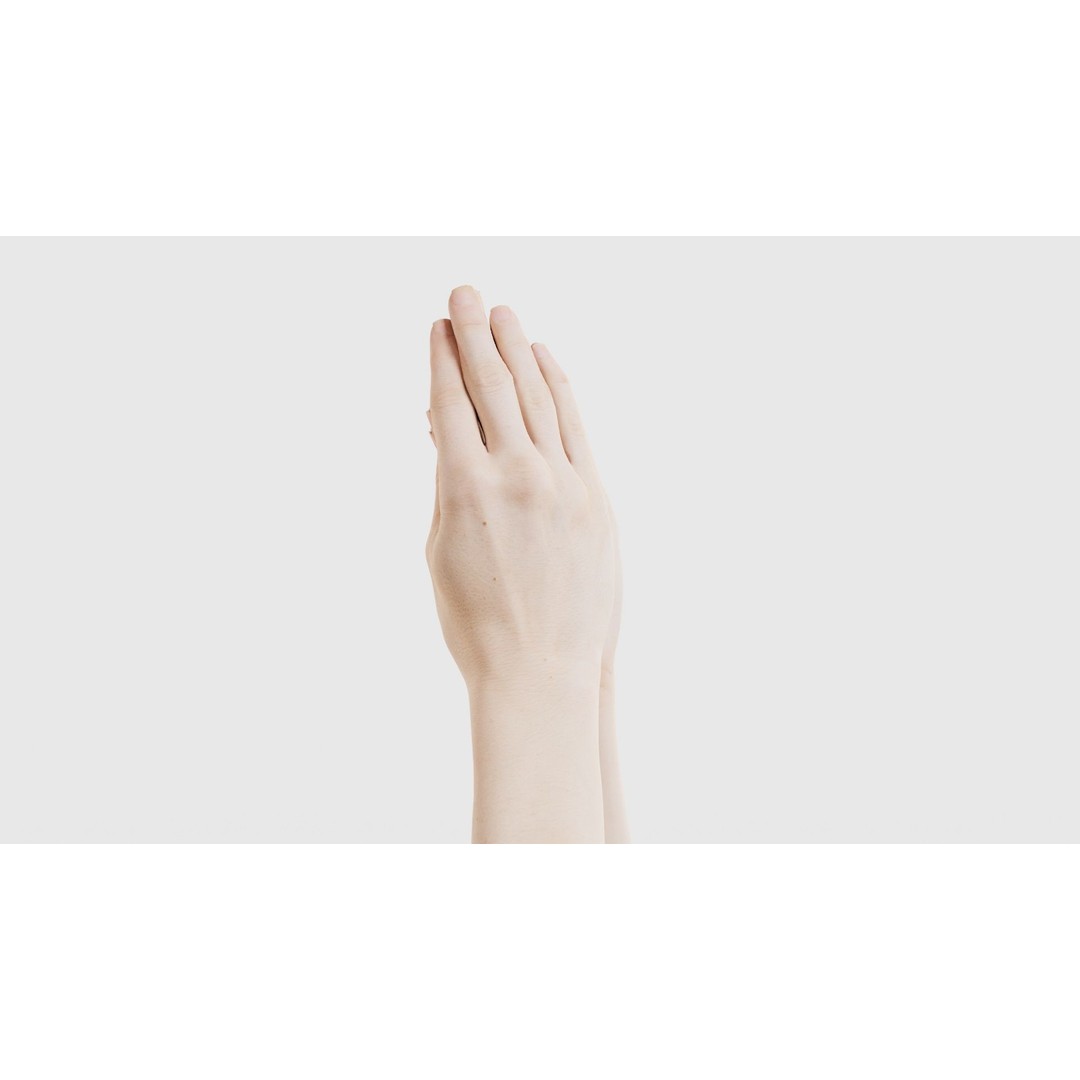 Duo Hands 005 3D Model – Low Poly Character with PBR Textures, FBX - View 24
