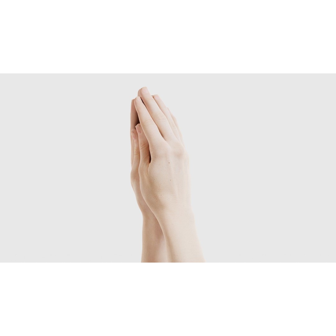 Duo Hands 005 3D Model – Low Poly Character with PBR Textures, FBX - View 25