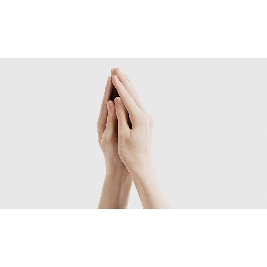 Duo Hands 005 3D Model – Low Poly Character with PBR Textures, FBX - View 26