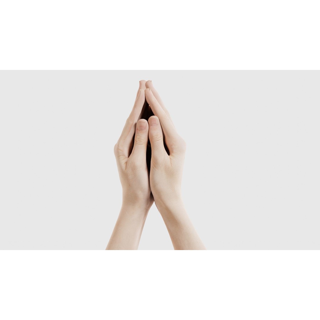 Duo Hands 005 3D Model – Low Poly Character with PBR Textures, FBX - View 27