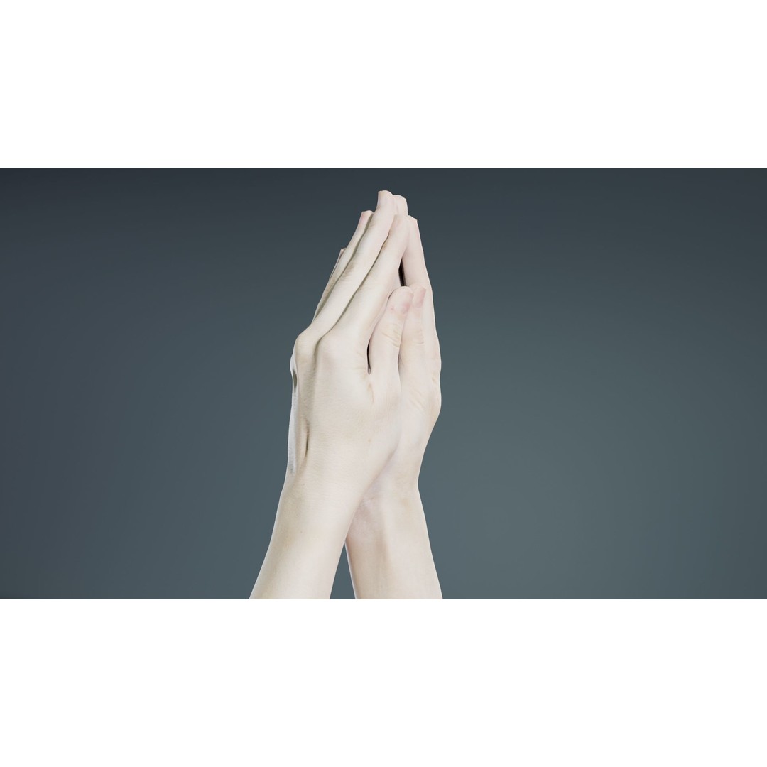 Duo Hands 005 3D Model – Low Poly Character with PBR Textures, FBX - View 3