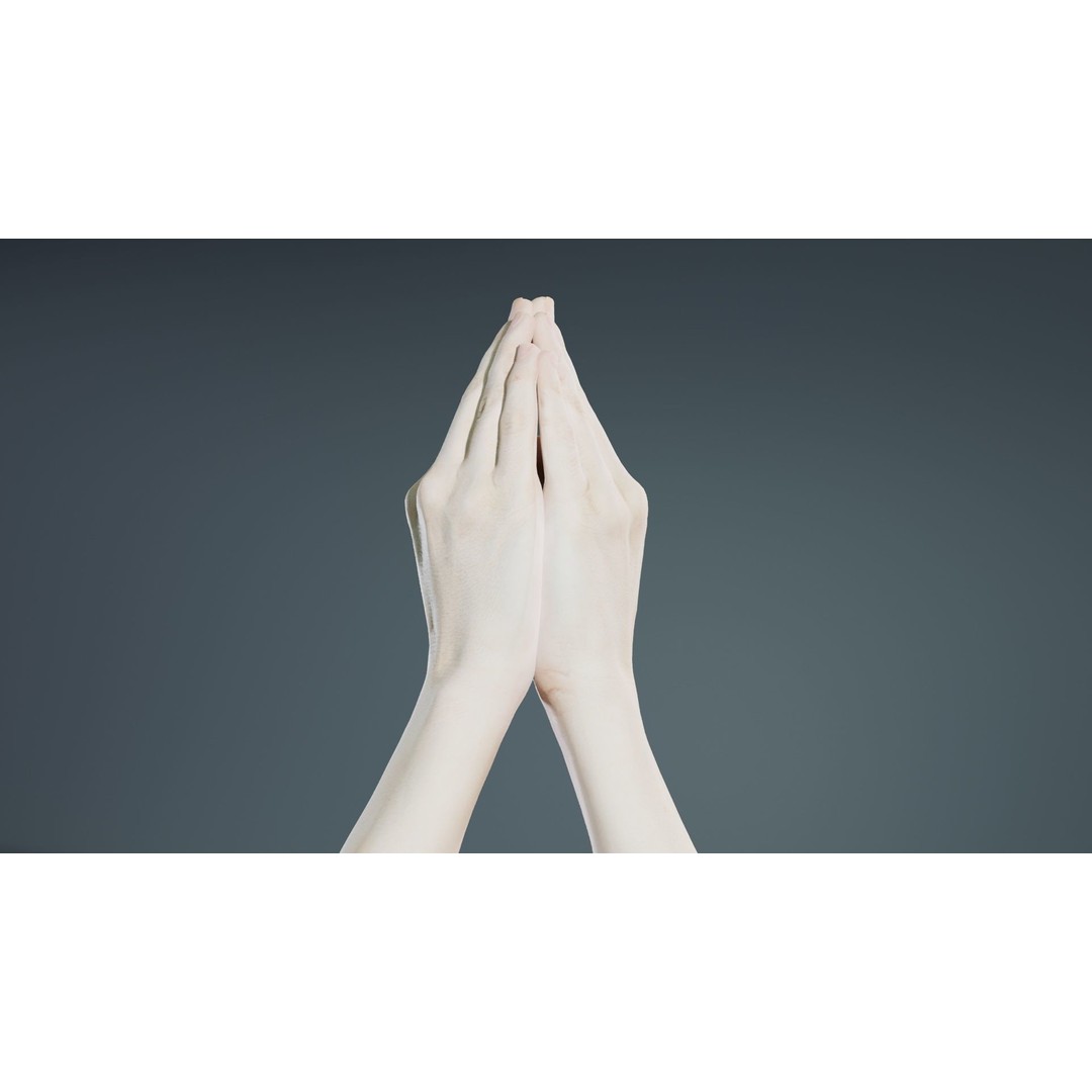 Duo Hands 005 3D Model – Low Poly Character with PBR Textures, FBX - View 4