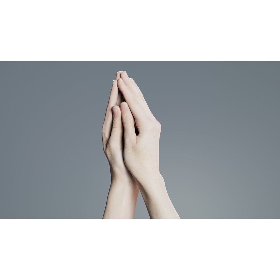 Duo Hands 005 3D Model – Low Poly Character with PBR Textures, FBX - View 5