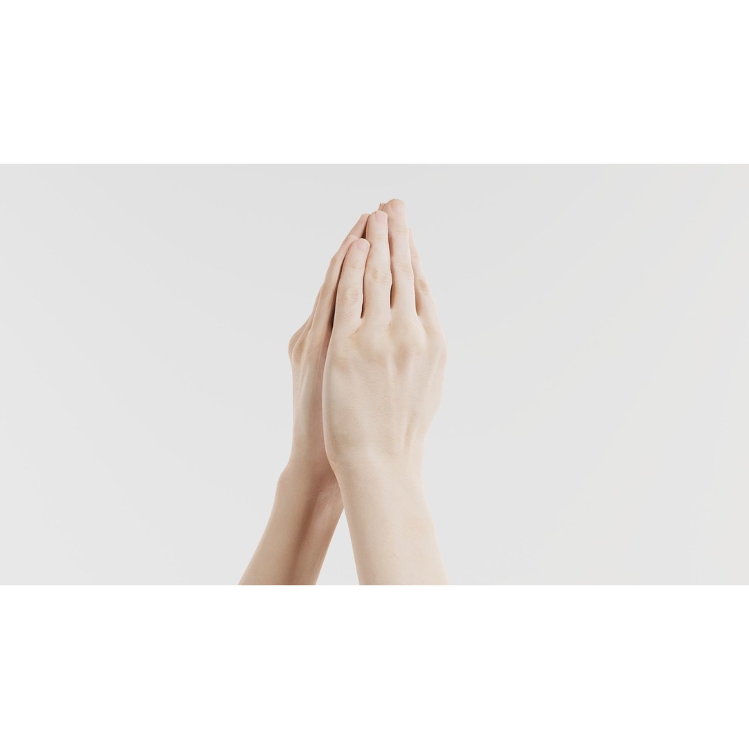 Duo Hands 005 3D Model – Low Poly Character with PBR Textures, FBX - View 6
