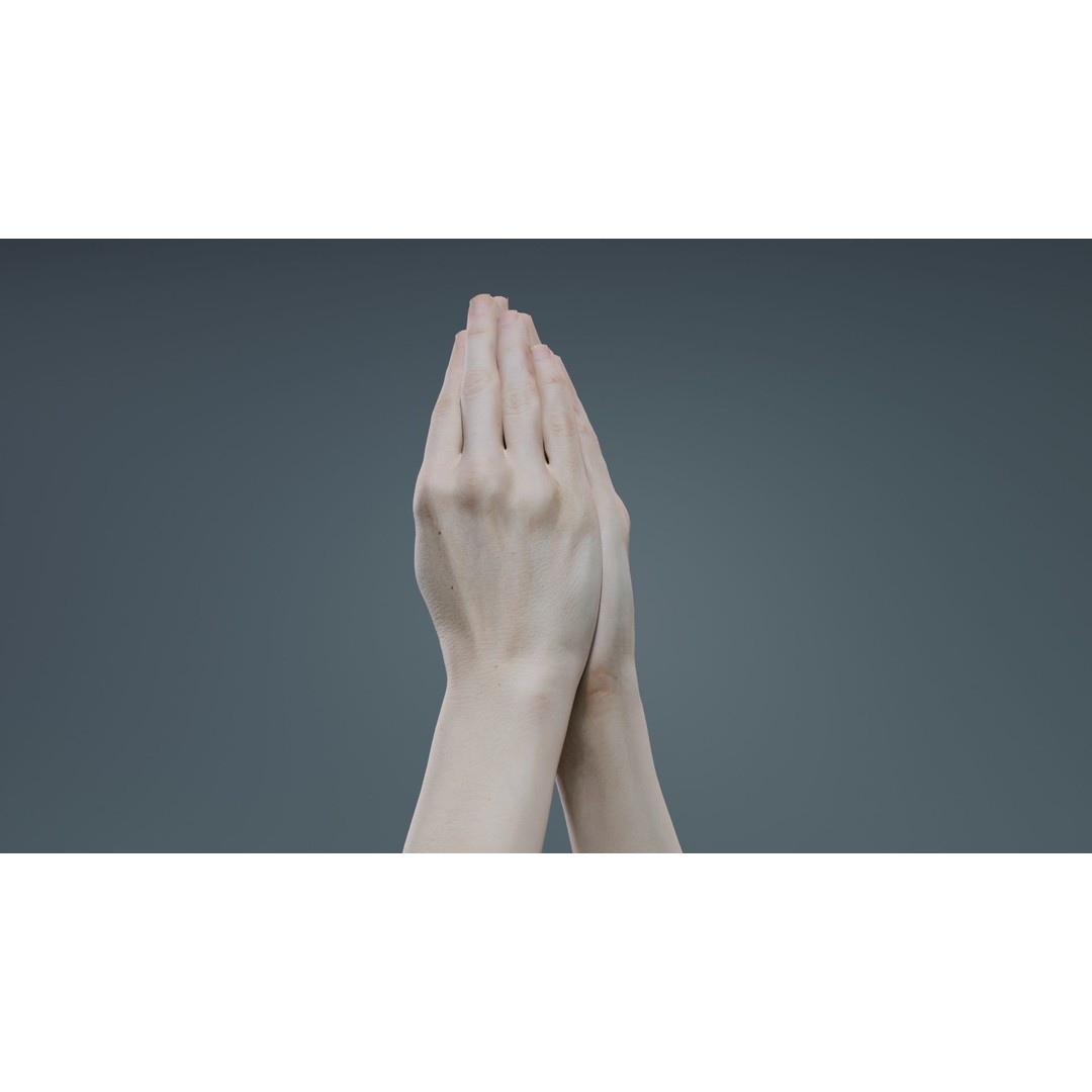 Duo Hands 005 3D Model – Low Poly Character with PBR Textures, FBX - View 7