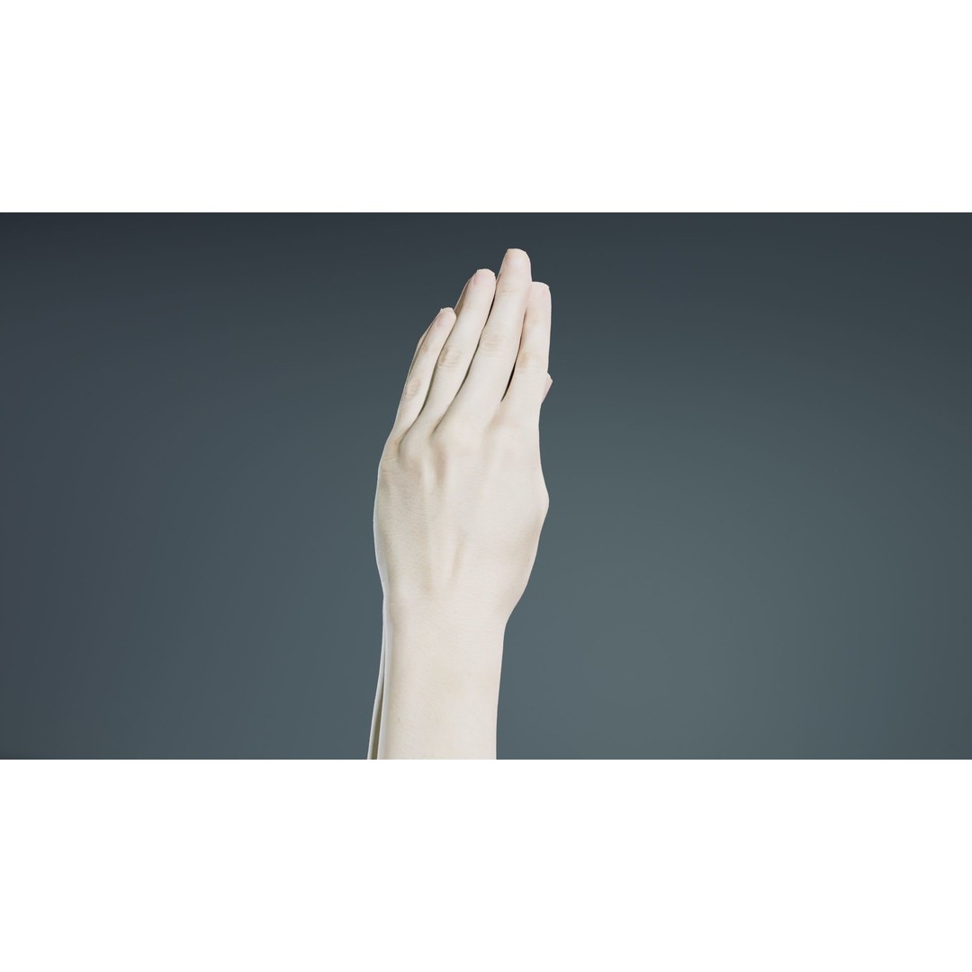 Duo Hands 005 3D Model – Low Poly Character with PBR Textures, FBX - View 8
