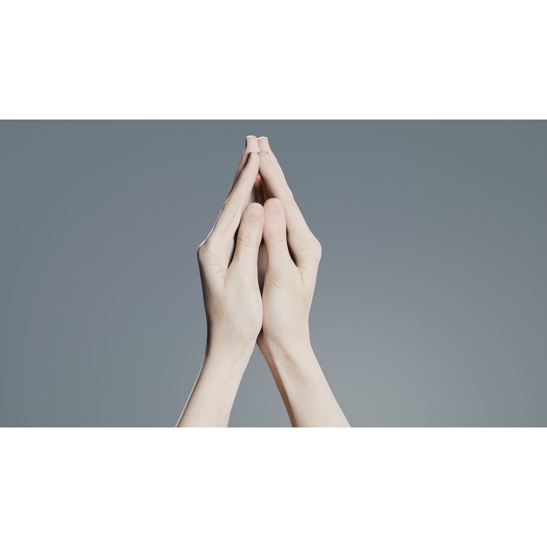 Duo Hands 005 3D Model – Low Poly Character with PBR Textures, FBX - View 9