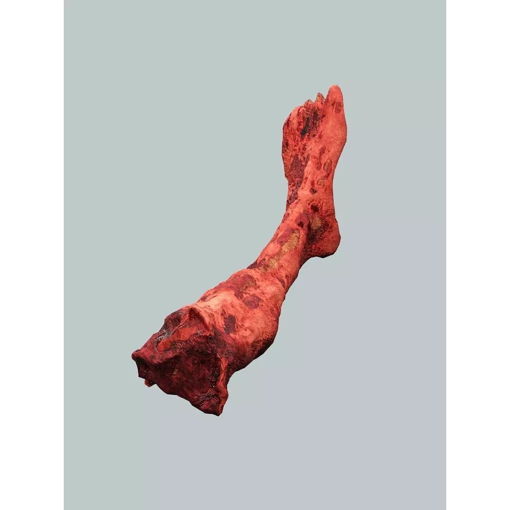 Human Corpses Pack 06 3D Model – Low Poly Horror Game Asset, FBX, OBJ - View 17