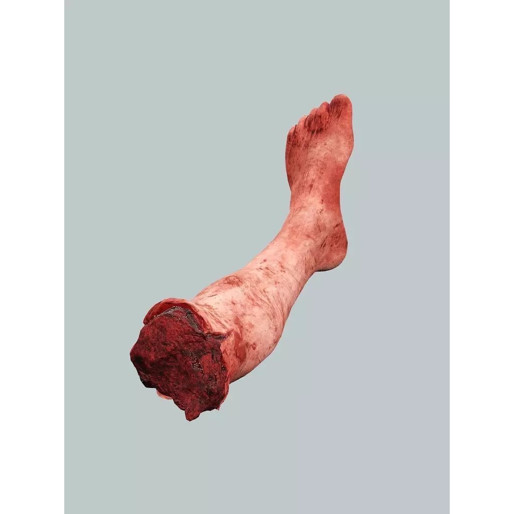 Human Corpses Pack 06 3D Model – Low Poly Horror Game Asset, FBX, OBJ - View 18