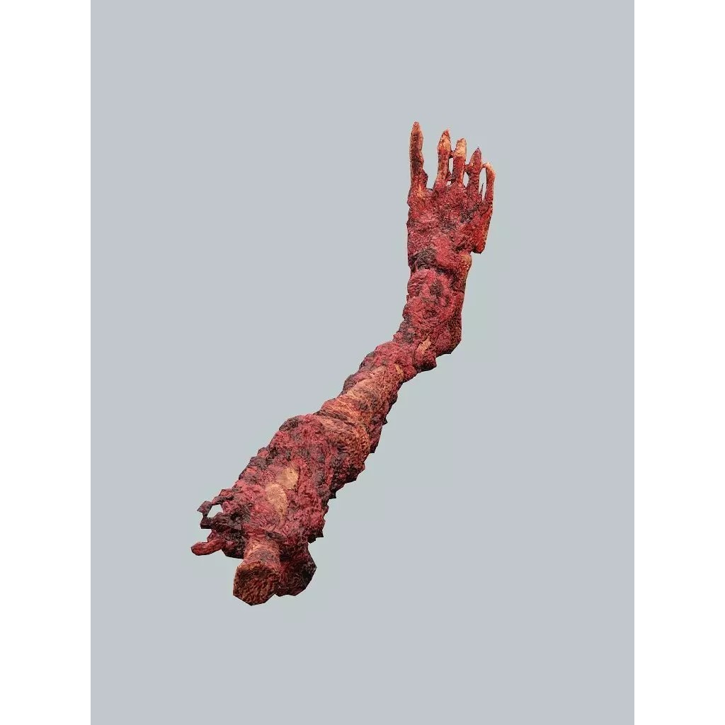 Human Corpses Pack 06 3D Model – Low Poly Horror Game Asset, FBX, OBJ - View 19