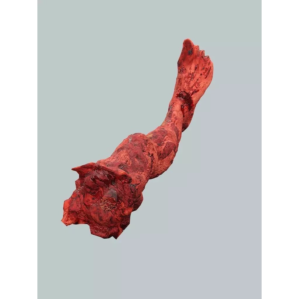 Human Corpses Pack 06 3D Model – Low Poly Horror Game Asset, FBX, OBJ - View 20