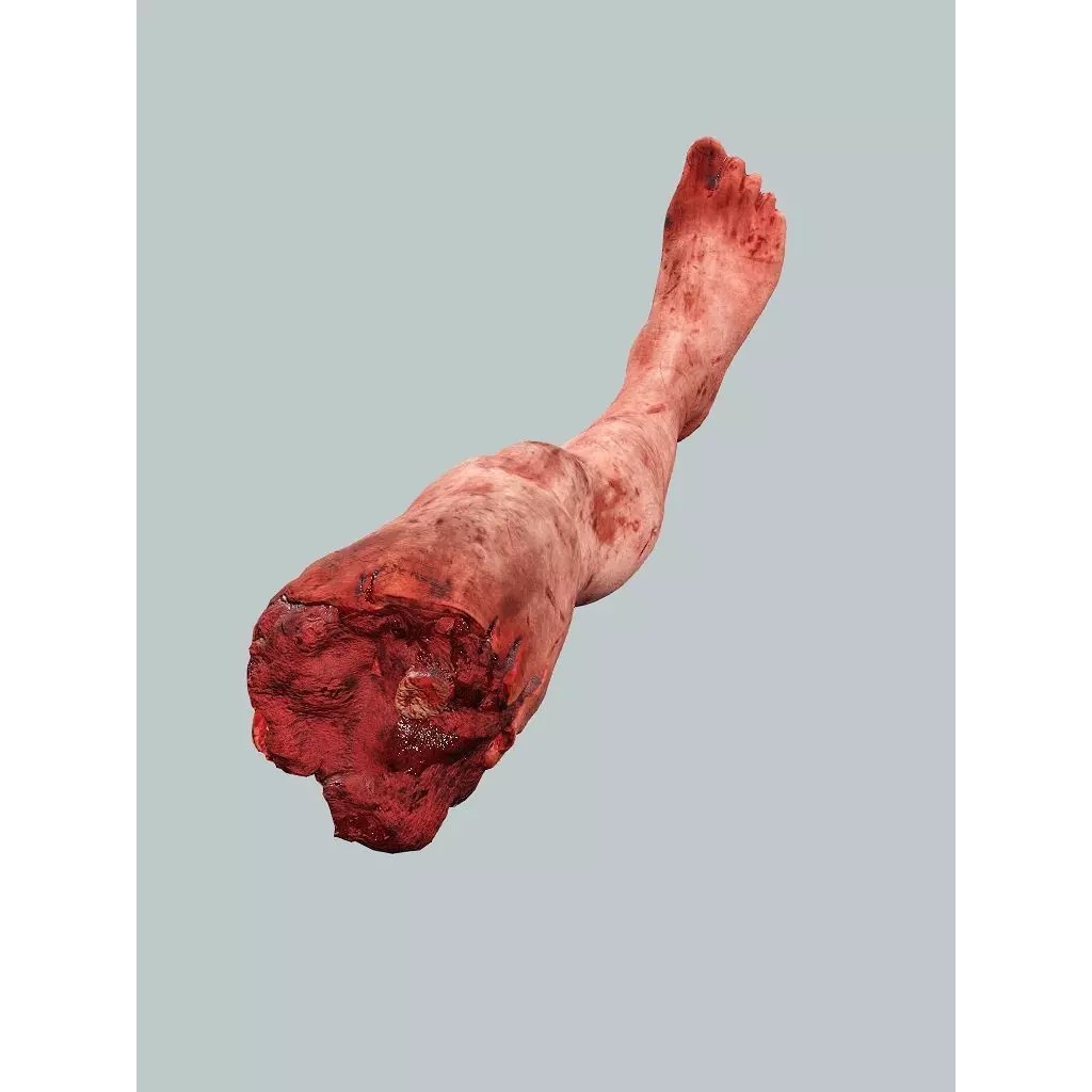 Human Corpses Pack 06 3D Model – Low Poly Horror Game Asset, FBX, OBJ - View 9