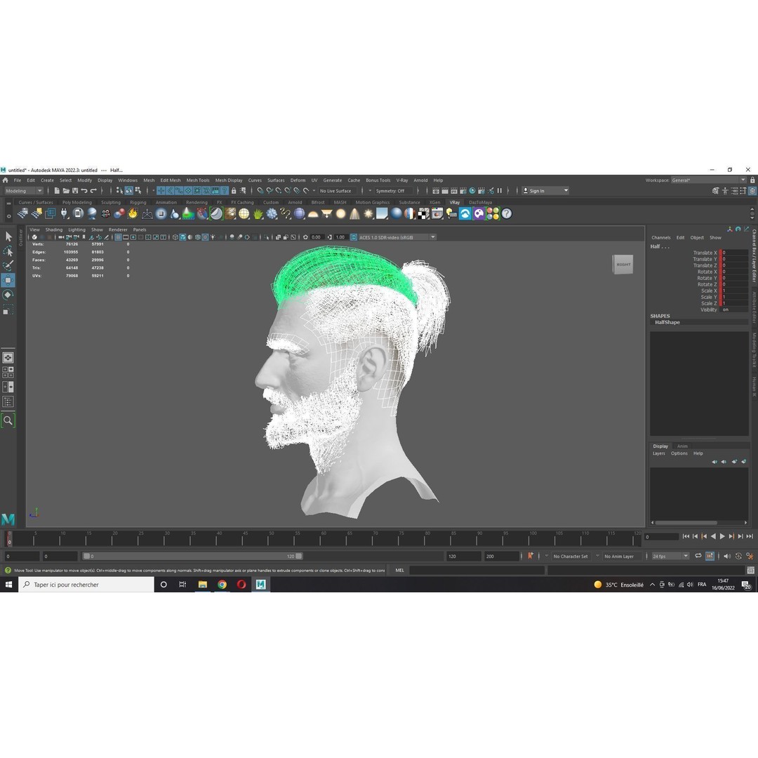 Realistic Hair 3D Model – Low Poly Beard and Mustache for Animation - View 11