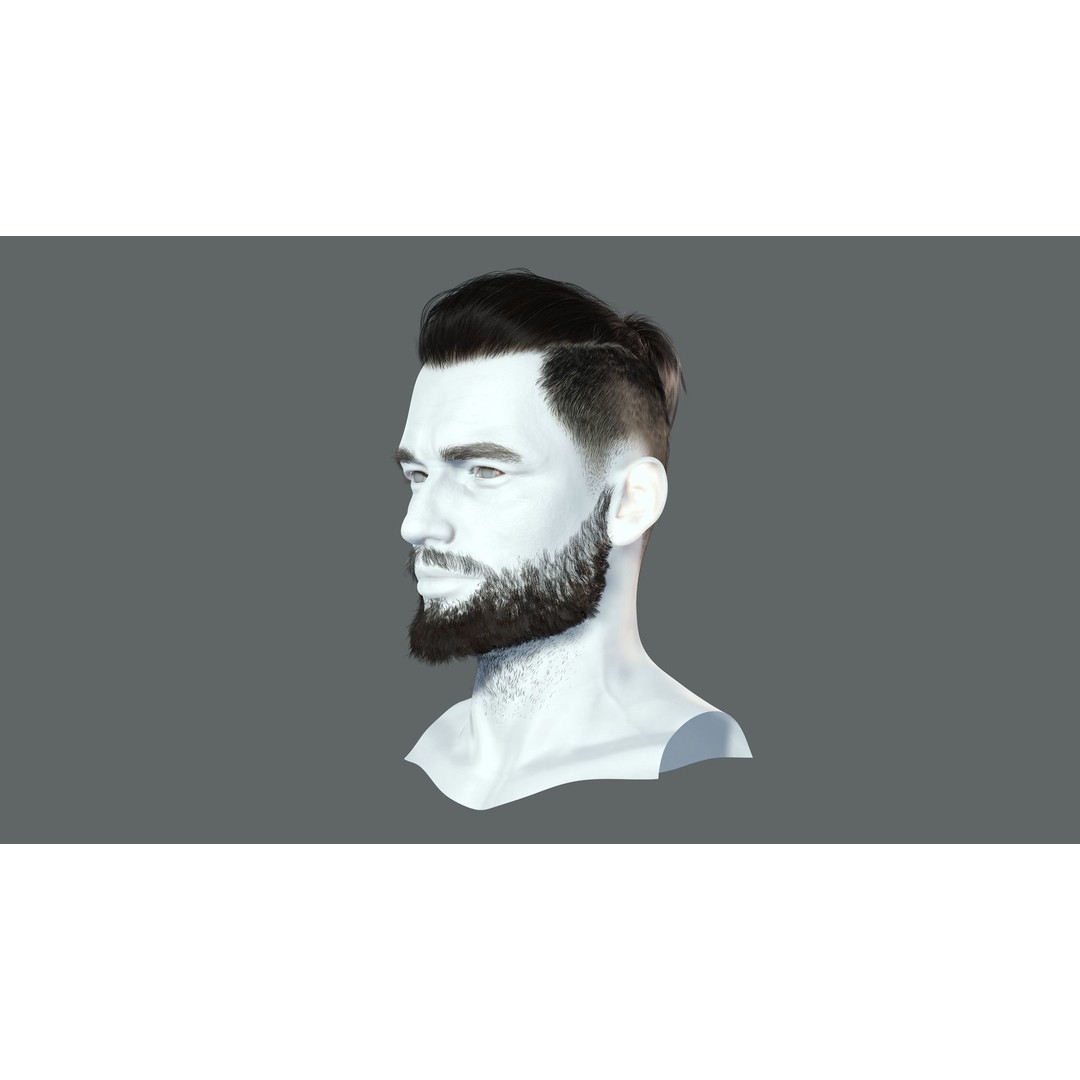 Realistic Hair 3D Model – Low Poly Beard and Mustache for Animation - View 5