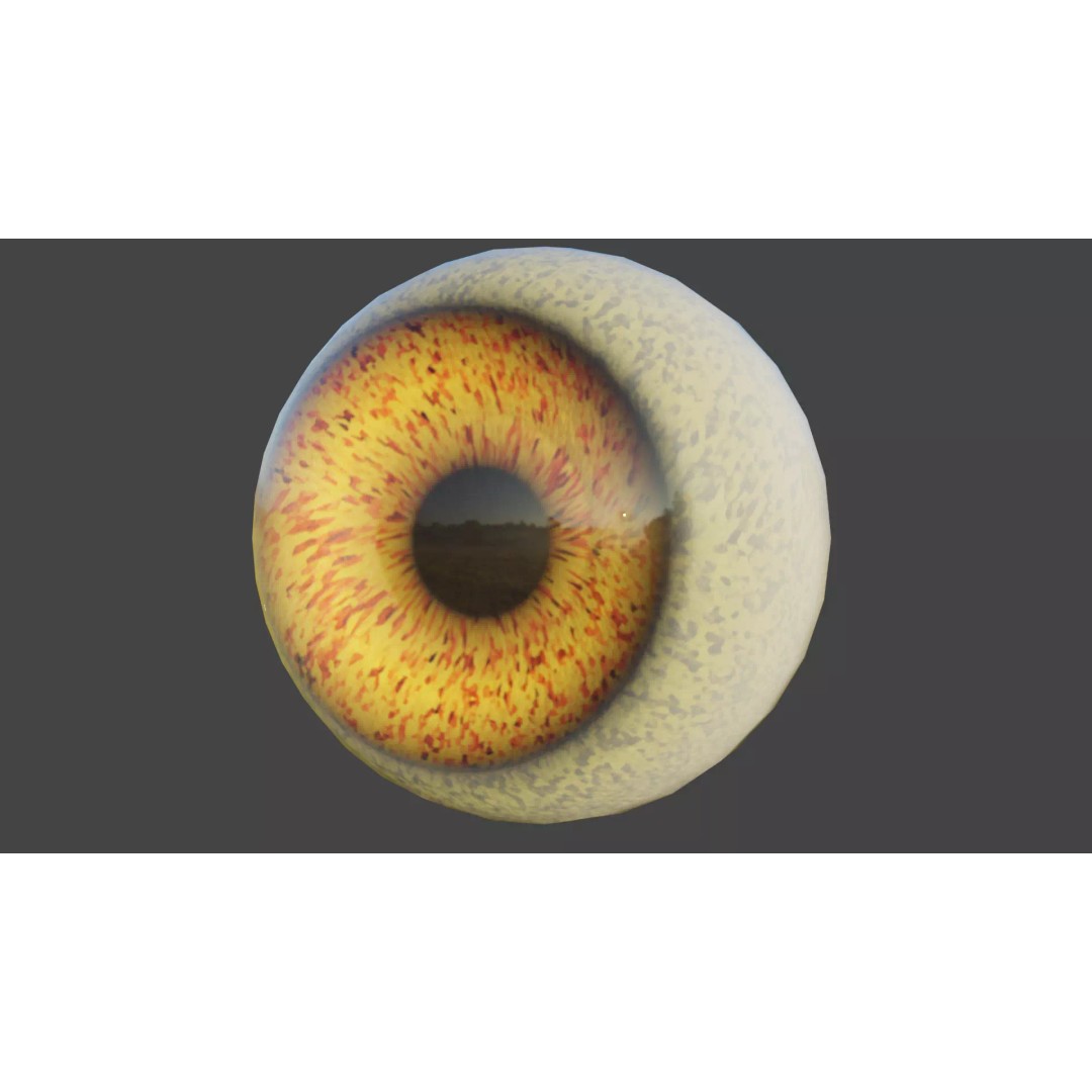 Amber Eye Shader 3D Model – Procedural 4K Game-Ready Asset, FBX - View 7
