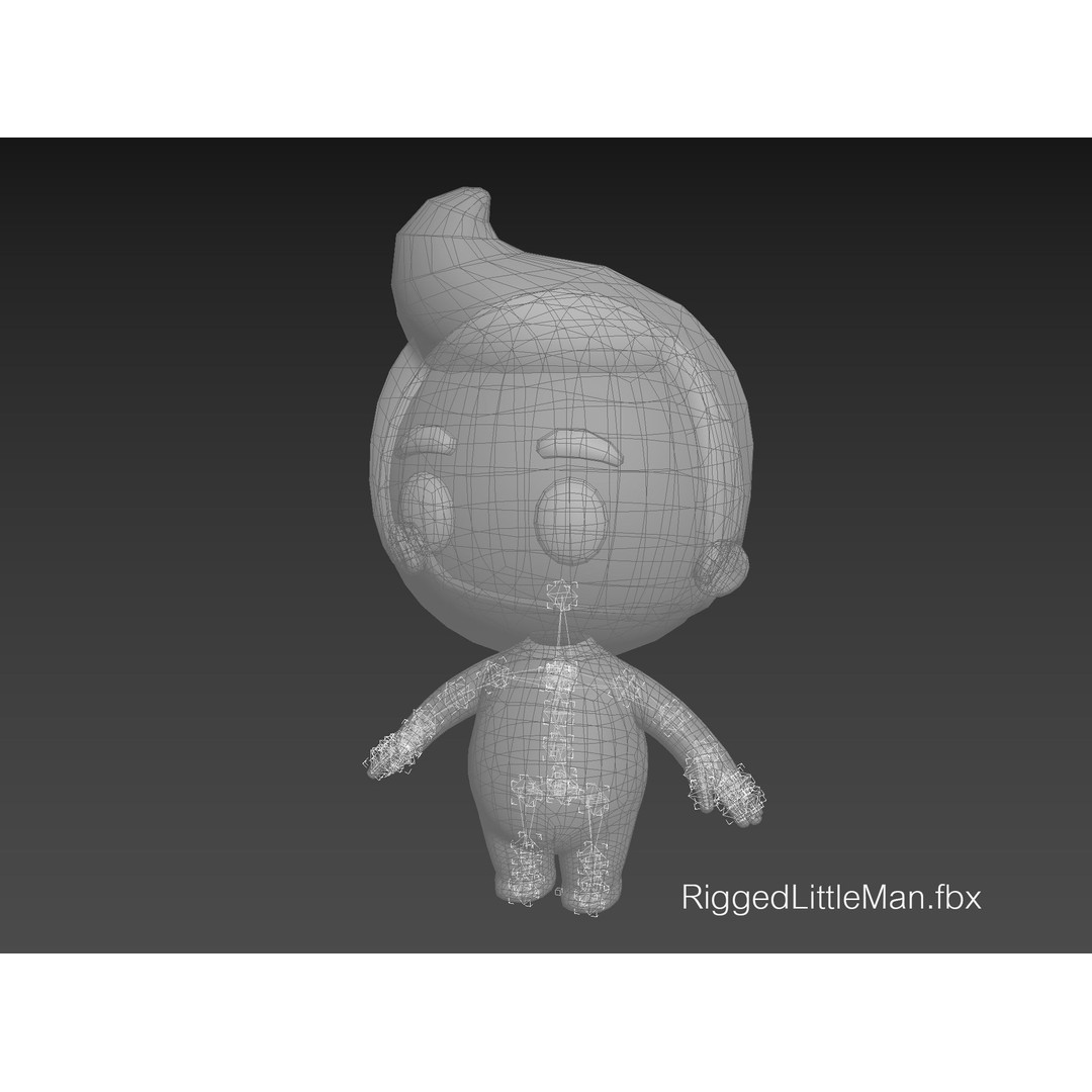 Rigged Little Man 3D Model – Cartoon Character, FBX & OBJ Formats - View 41