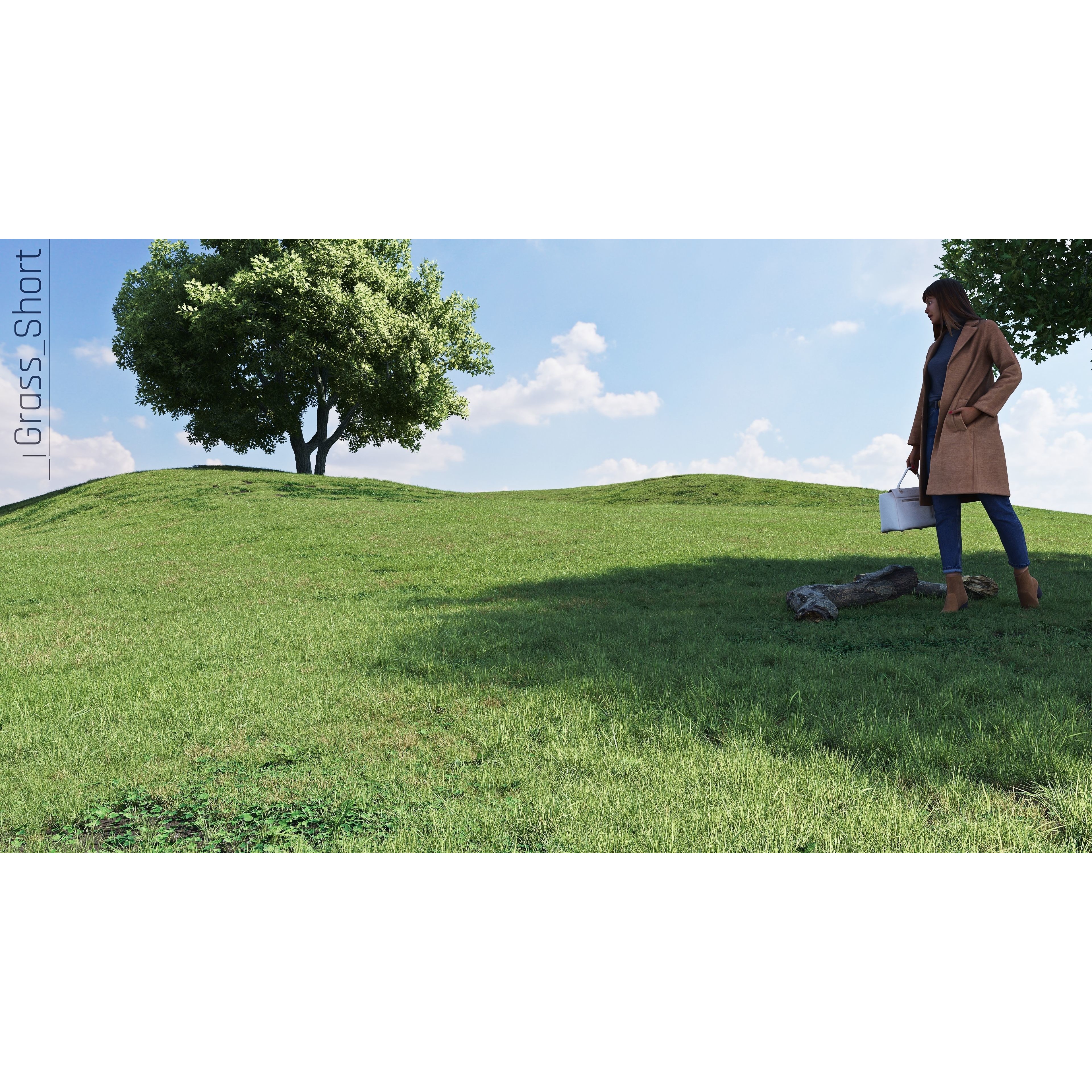 CGrass v2 - Realistic Grass Pack 3D Model - View 17