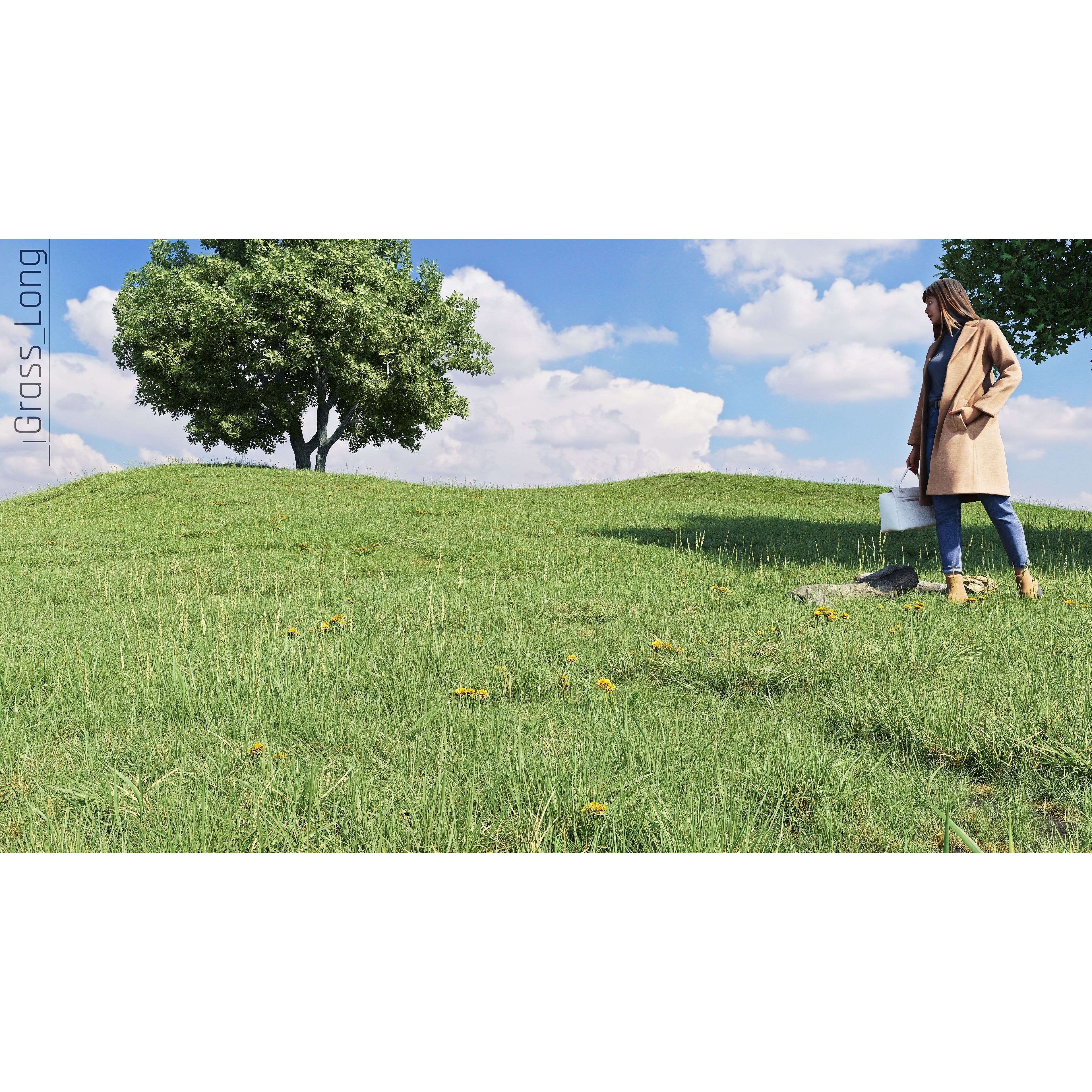 CGrass v2 - Realistic Grass Pack 3D Model - View 18